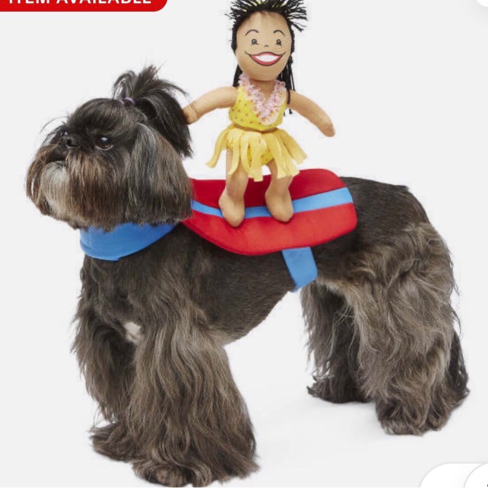 Surfer Girl Rider Costume
